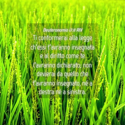 Picture 04 - Deuteronomio 17:11 RIV - Ti conformerai alla legge ch’essi t’avranno - Bible Verse Picture