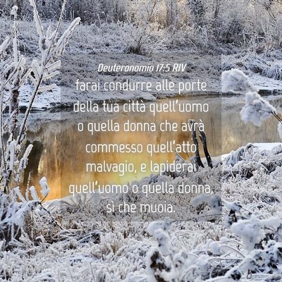 Picture 04 - Deuteronomio 17:5 RIV - farai condurre alle porte della tua città - Bible Verse Picture