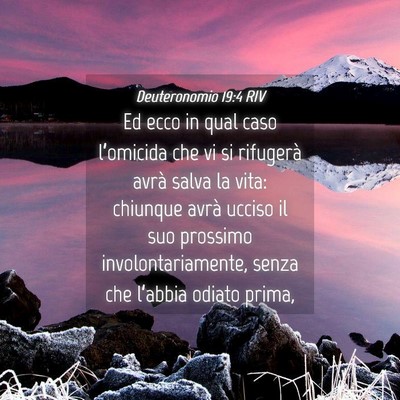 Picture 04 - Deuteronomio 19:4 RIV - Ed ecco in qual caso l’omicida che vi si - Bible Verse Picture