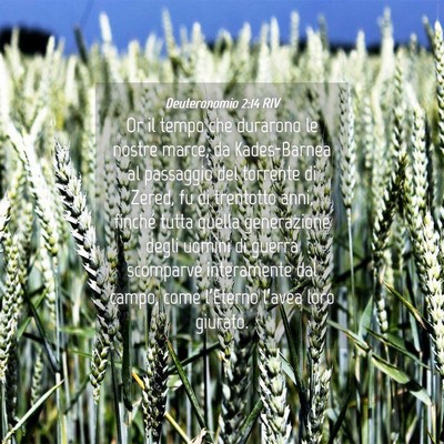 Picture 04 - Deuteronomio 2:14 RIV - Or il tempo che durarono le nostre marce, da - Bible Verse Picture