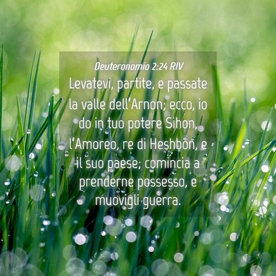 Picture 04 - Deuteronomio 2:24 RIV - Levatevi, partite, e passate la valle - Bible Verse Picture