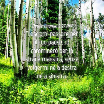 Picture 04 - Deuteronomio 2:27 RIV - “Lasciami passare per il tuo paese; io - Bible Verse Picture