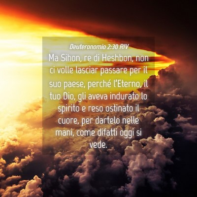 Picture 04 - Deuteronomio 2:30 RIV - Ma Sihon, re di Heshbon, non ci volle lasciar - Bible Verse Picture