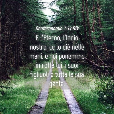 Picture 04 - Deuteronomio 2:33 RIV - E l’Eterno, l’Iddio nostro, ce lo diè nelle - Bible Verse Picture