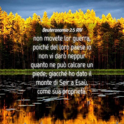 Picture 04 - Deuteronomio 2:5 RIV - non movete lor guerra, poiché del loro paese io - Bible Verse Picture