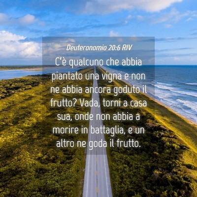 Picture 04 - Deuteronomio 20:6 RIV - C’è qualcuno che abbia piantato una vigna e - Bible Verse Picture