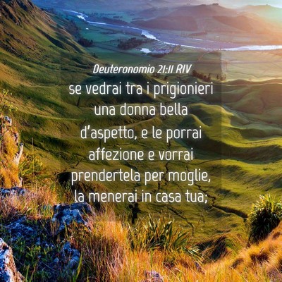 Picture 04 - Deuteronomio 21:11 RIV - se vedrai tra i prigionieri una donna bella - Bible Verse Picture