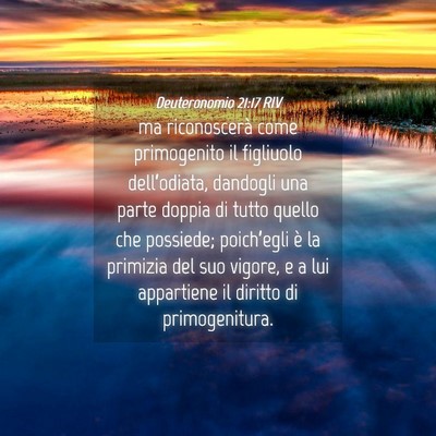 Picture 04 - Deuteronomio 21:17 RIV - ma riconoscerà come primogenito il figliuolo - Bible Verse Picture
