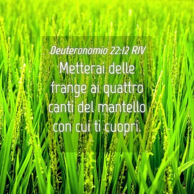 Picture 04 - Deuteronomio 22:12 RIV - Metterai delle frange ai quattro canti del - Bible Verse Picture