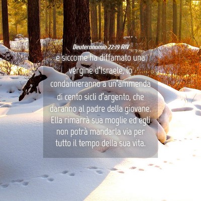 Picture 04 - Deuteronomio 22:19 RIV - e siccome ha diffamato una vergine d’Israele, - Bible Verse Picture
