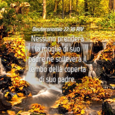 Picture 04 - Deuteronomio 22:30 RIV - Nessuno prenderà la moglie di suo padre ne - Bible Verse Picture