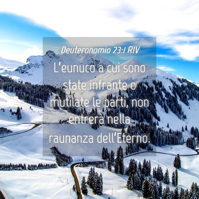 Picture 04 - Deuteronomio 23:1 RIV - L’eunuco a cui sono state infrante o mutilate - Bible Verse Picture