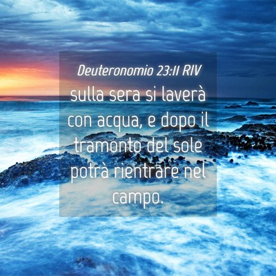 Picture 04 - Deuteronomio 23:11 RIV - sulla sera si laverà con acqua, e dopo il - Bible Verse Picture