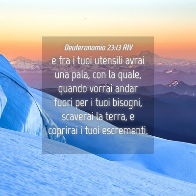 Picture 04 - Deuteronomio 23:13 RIV - e fra i tuoi utensili avrai una pala, con la - Bible Verse Picture