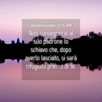Picture 04 - Deuteronomio 23:15 RIV - Non consegnerai al suo padrone lo schiavo che, - Bible Verse Picture
