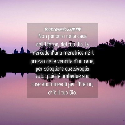 Picture 04 - Deuteronomio 23:18 RIV - Non porterai nella casa dell’Eterno, del tuo - Bible Verse Picture