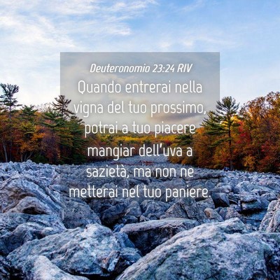 Picture 04 - Deuteronomio 23:24 RIV - Quando entrerai nella vigna del tuo prossimo, - Bible Verse Picture