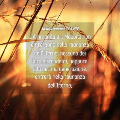 Picture 04 - Deuteronomio 23:3 RIV - L’Ammonita e il Moabita non entreranno nella - Bible Verse Picture