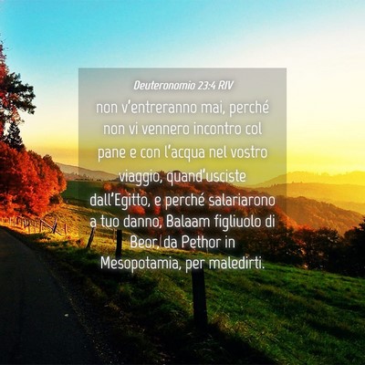 Picture 04 - Deuteronomio 23:4 RIV - non v’entreranno mai, perché non vi vennero - Bible Verse Picture