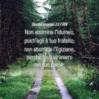 Picture 04 - Deuteronomio 23:7 RIV - Non aborrirai l’Idumeo, poich’egli è tuo - Bible Verse Picture