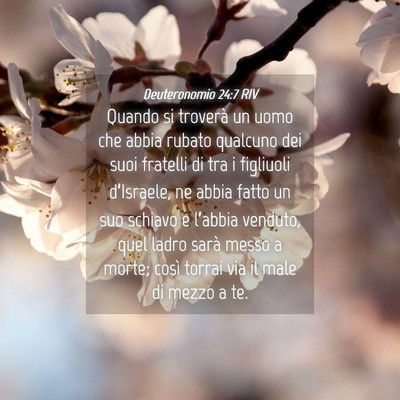 Picture 04 - Deuteronomio 24:7 RIV - Quando si troverà un uomo che abbia rubato - Bible Verse Picture