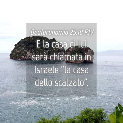Picture 04 - Deuteronomio 25:10 RIV - E la casa di lui sarà chiamata in Israele “la - Bible Verse Picture