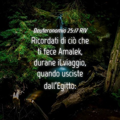 Picture 04 - Deuteronomio 25:17 RIV - Ricordati di ciò che ti fece Amalek, durane il - Bible Verse Picture