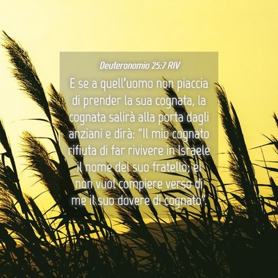 Picture 04 - Deuteronomio 25:7 RIV - E se a quell’uomo non piaccia di prender la sua - Bible Verse Picture