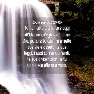 Picture 04 - Deuteronomio 26:17 RIV - Tu hai fatto dichiarare oggi all’Eterno - Bible Verse Picture