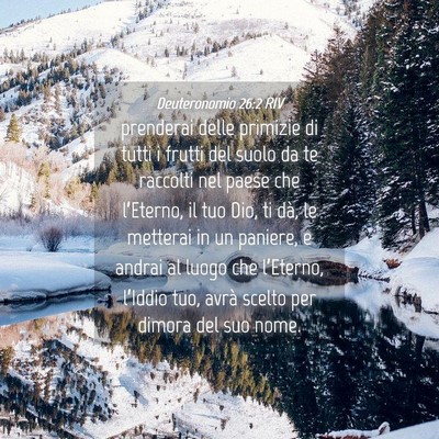 Picture 04 - Deuteronomio 26:2 RIV - prenderai delle primizie di tutti i frutti del - Bible Verse Picture