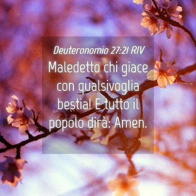 Picture 04 - Deuteronomio 27:21 RIV - Maledetto chi giace con qualsivoglia bestia! E - Bible Verse Picture