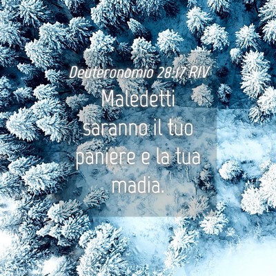 Picture 04 - Deuteronomio 28:17 RIV - Maledetti saranno il tuo paniere e la tua - Bible Verse Picture