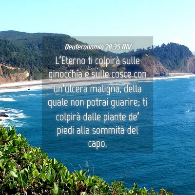 Picture 04 - Deuteronomio 28:35 RIV - L’Eterno ti colpirà sulle ginocchia e sulle - Bible Verse Picture