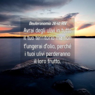 Picture 04 - Deuteronomio 28:40 RIV - Avrai degli ulivi in tutto il tuo territorio ma - Bible Verse Picture