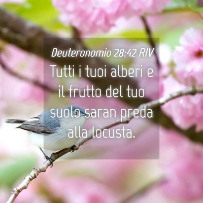 Picture 04 - Deuteronomio 28:42 RIV - Tutti i tuoi alberi e il frutto del tuo suolo - Bible Verse Picture