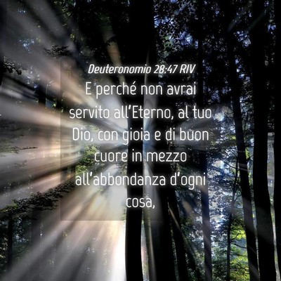 Picture 04 - Deuteronomio 28:47 RIV - E perché non avrai servito all’Eterno, al tuo - Bible Verse Picture