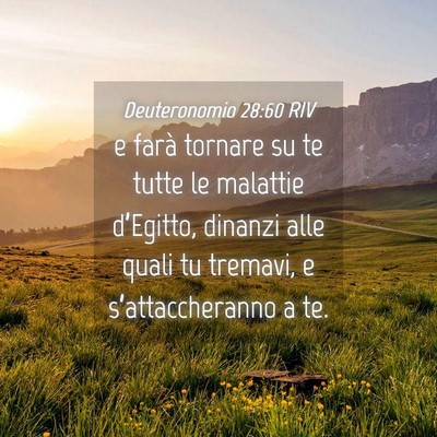 Picture 04 - Deuteronomio 28:60 RIV - e farà tornare su te tutte le malattie - Bible Verse Picture