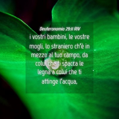 Picture 04 - Deuteronomio 29:11 RIV - i vostri bambini, le vostre mogli, lo straniero - Bible Verse Picture