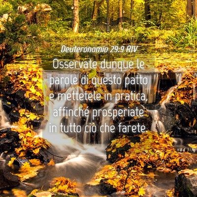Picture 04 - Deuteronomio 29:9 RIV - Osservate dunque le parole di questo patto e - Bible Verse Picture