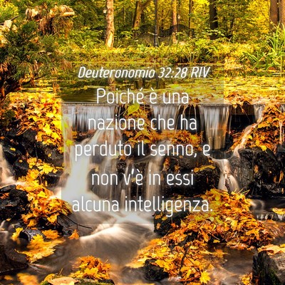 Picture 04 - Deuteronomio 32:28 RIV - Poiché è una nazione che ha perduto il senno, e - Bible Verse Picture