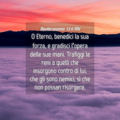 Picture 04 - Deuteronomio 33:11 RIV - O Eterno, benedici la sua forza, e gradisci - Bible Verse Picture