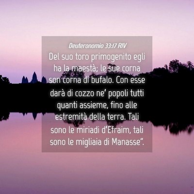 Picture 04 - Deuteronomio 33:17 RIV - Del suo toro primogenito egli ha la maestà; le - Bible Verse Picture