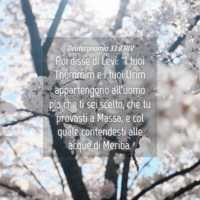 Picture 04 - Deuteronomio 33:8 RIV - Poi disse di Levi: “I tuoi Thummim e i tuoi - Bible Verse Picture