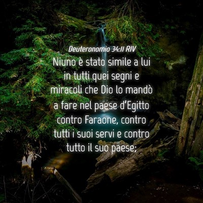 Picture 04 - Deuteronomio 34:11 RIV - Niuno è stato simile a lui in tutti quei segni e - Bible Verse Picture