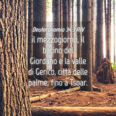 Picture 04 - Deuteronomio 34:3 RIV - il mezzogiorno, il bacino del Giordano e la valle - Bible Verse Picture