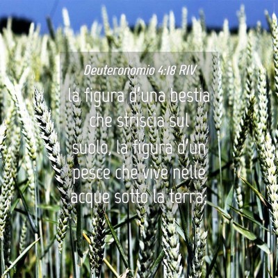 Picture 04 - Deuteronomio 4:18 RIV - la figura d’una bestia che striscia sul suolo, - Bible Verse Picture