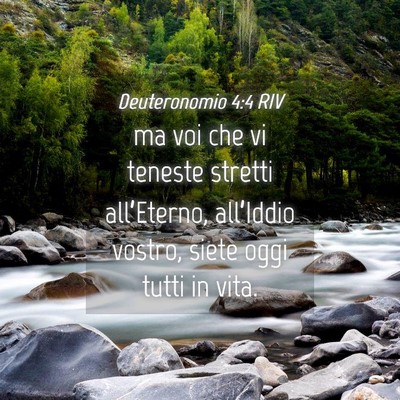Picture 04 - Deuteronomio 4:4 RIV - ma voi che vi teneste stretti all’Eterno, - Bible Verse Picture