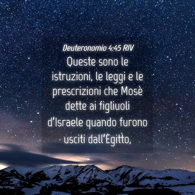Picture 04 - Deuteronomio 4:45 RIV - Queste sono le istruzioni, le leggi e le - Bible Verse Picture
