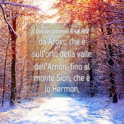 Picture 04 - Deuteronomio 4:48 RIV - da Aroer, che è sull’orlo della valle - Bible Verse Picture