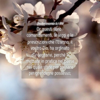 Picture 04 - Deuteronomio 6:1 RIV - Or questi sono i comandamenti, le leggi e le - Bible Verse Picture